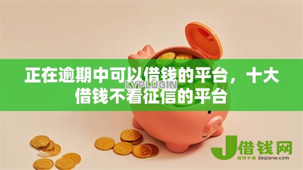 正在逾期中可以借钱的平台,十大借钱不看征信的平台 正在逾期中可以借钱的平台,十大借钱不看征信的平台
