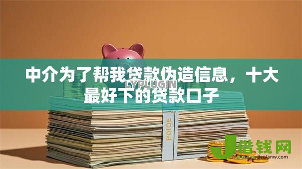 中介为了帮我贷款伪造信息，十大最好下的贷款口子