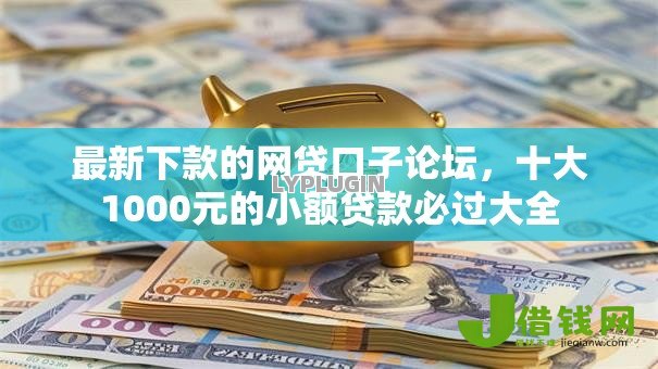 最新下款的网贷口子论坛，十大1000元的小额贷款必过大全