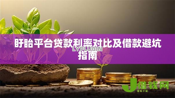 盱眙平台贷款利率对比及借款避坑指南 盱眙平台贷款利率对比及借款避坑指南