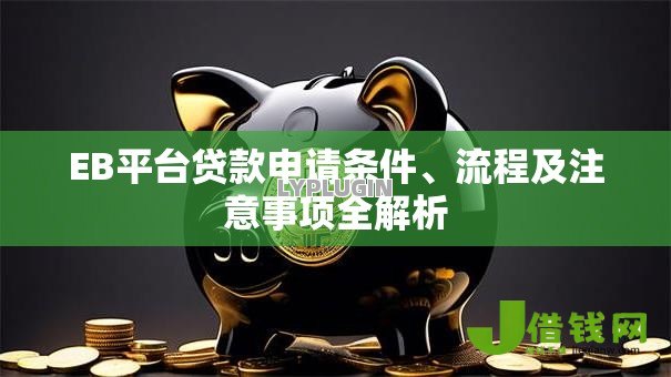 EB平台贷款申请条件、流程及注意事项全解析 EB平台贷款申请条件、流程及注意事项全解析