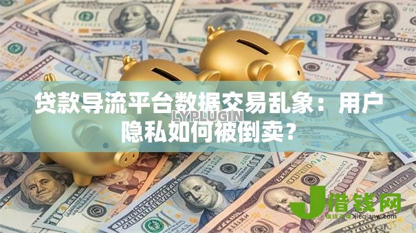 贷款导流平台数据交易乱象：用户隐私如何被倒卖？