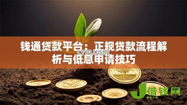 钱通贷款平台:正规贷款流程解析与低息申请技巧 钱通贷款平台:正规贷款流程解析与低息申请技巧