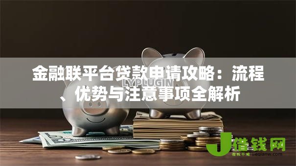 金融联平台贷款申请攻略：流程、优势与注意事项全解析