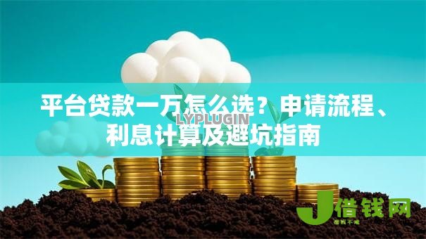 平台贷款一万怎么选?申请流程、利息计算及避坑指南 平台贷款一万怎么选?申请流程、利息计算及避坑指南