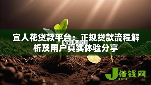 宜人花贷款平台:正规贷款流程解析及用户真实体验分享 宜人花贷款平台:正规贷款流程解析及用户真实体验分享