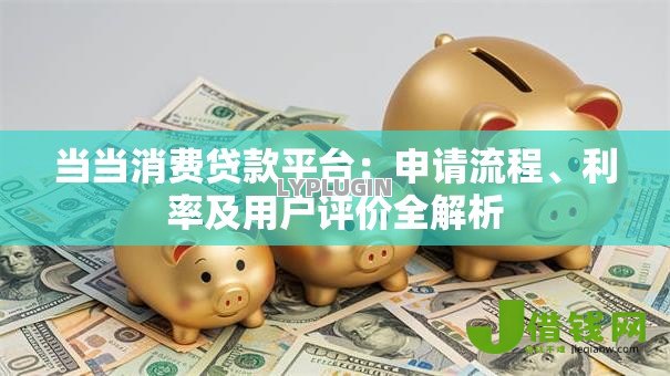 当当消费贷款平台:申请流程、利率及用户评价全解析 当当消费贷款平台:申请流程、利率及用户评价全解析