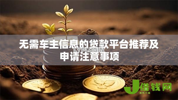 无需车主信息的贷款平台推荐及申请注意事项