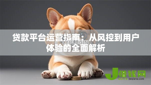 贷款平台运营指南:从风控到用户体验的全面解析 贷款平台运营指南:从风控到用户体验的全面解析