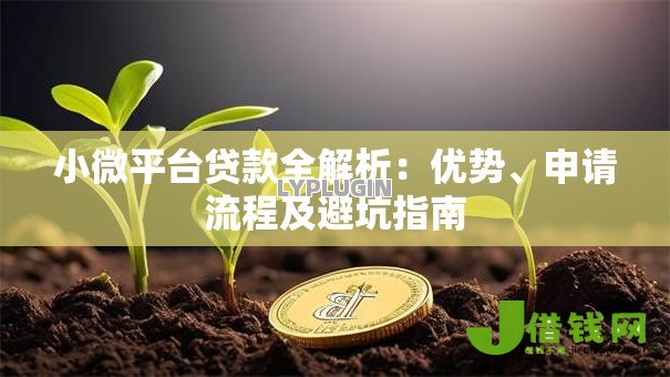 小微平台贷款全解析:优势、申请流程及避坑指南 小微平台贷款全解析:优势、申请流程及避坑指南