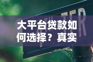 大平台贷款如何选择?真实测评与避坑指南 大平台贷款如何选择?真实测评与避坑指南