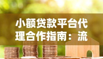 小额贷款平台代理合作指南：流程、选择与风险规避