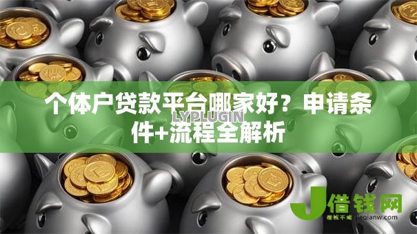 个体户贷款平台哪家好？申请条件+流程全解析