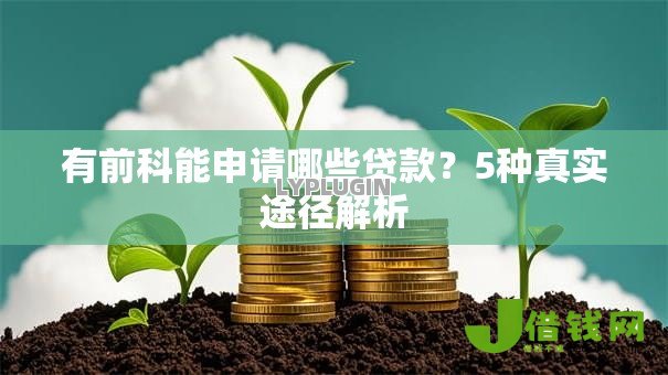 有前科能申请哪些贷款?5种真实途径解析 有前科能申请哪些贷款?5种真实途径解析