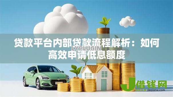 贷款平台内部贷款流程解析:如何高效申请低息额度 贷款平台内部贷款流程解析:如何高效申请低息额度