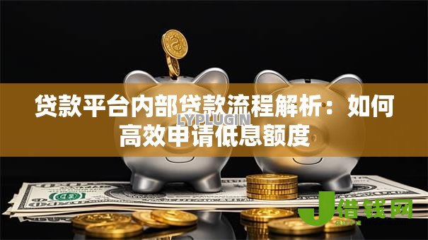 贷款平台内部贷款流程解析:如何高效申请低息额度 贷款平台内部贷款流程解析:如何高效申请低息额度