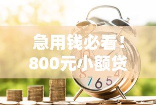 急用钱必看！800元小额贷款平台真实测评及申请攻略
