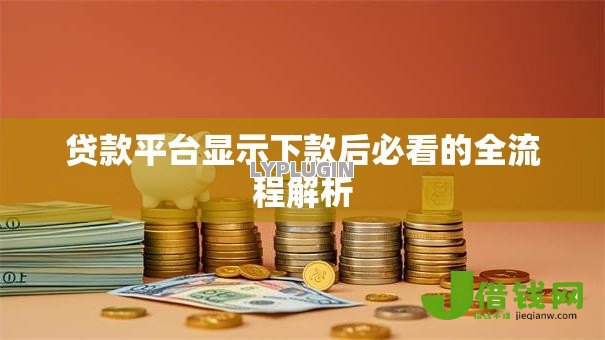 贷款平台显示下款后必看的全流程解析