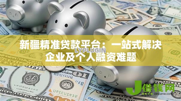 新疆精准贷款平台：一站式解决企业及个人融资难题