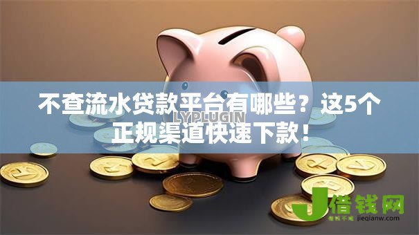 不查流水贷款平台有哪些？这5个正规渠道快速下款！