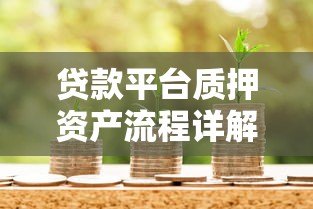 贷款平台质押资产流程详解与注意事项 贷款平台质押资产流程详解与注意事项