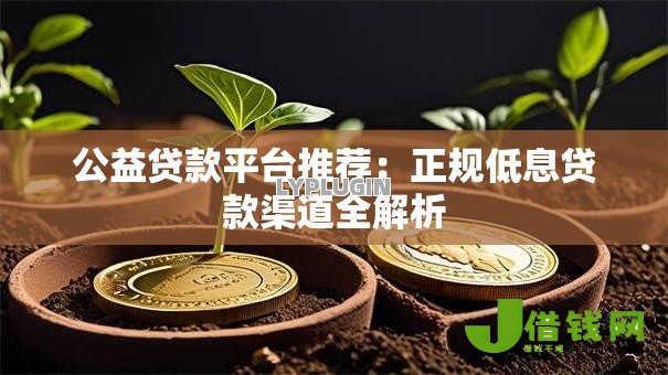 公益贷款平台推荐:正规低息贷款渠道全解析 公益贷款平台推荐:正规低息贷款渠道全解析
