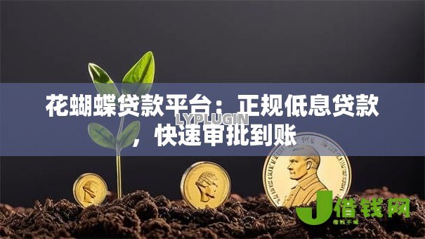 花蝴蝶贷款平台：正规低息贷款，快速审批到账