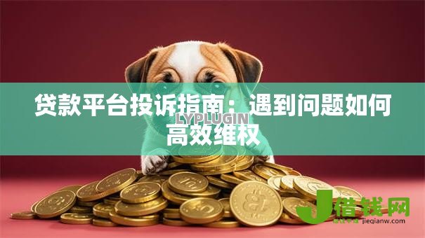 贷款平台投诉指南：遇到问题如何高效维权