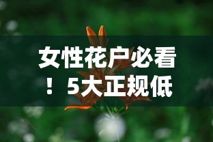 女性花户必看!5大正规低息贷款平台推荐(真实评测) 女性花户必看!5大正规低息贷款平台推荐(真实评测)