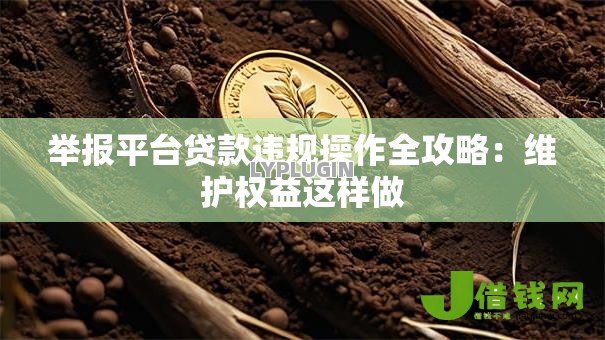 举报平台贷款违规操作全攻略：维护权益这样做