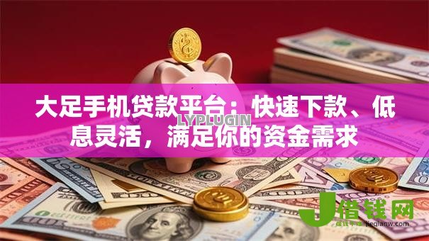 大足手机贷款平台:快速下款、低息灵活,满足你的资金需求 大足手机贷款平台:快速下款、低息灵活,满足你的资金需求