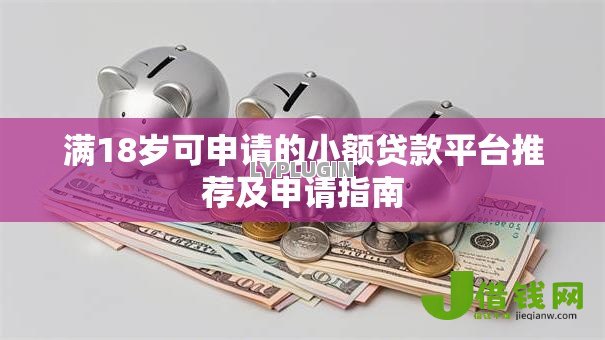 满18岁可申请的小额贷款平台推荐及申请指南 满18岁可申请的小额贷款平台推荐及申请指南