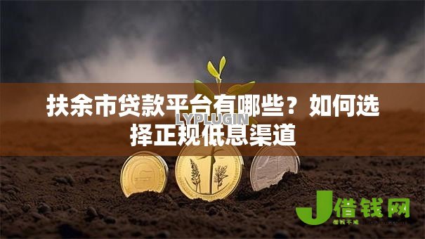 扶余市贷款平台有哪些？如何选择正规低息渠道