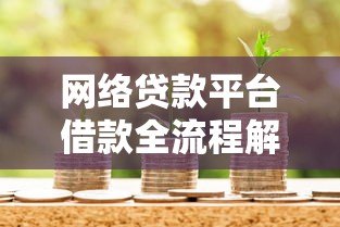 网络贷款平台借款全流程解析及注意事项 网络贷款平台借款全流程解析及注意事项