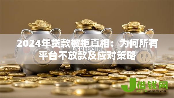 2024年贷款被拒真相:为何所有平台不放款及应对策略 2024年贷款被拒真相:为何所有平台不放款及应对策略