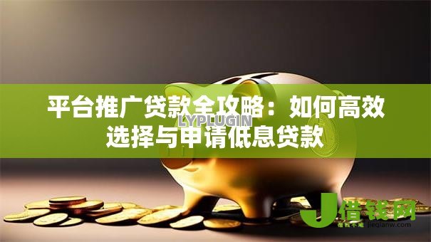 平台推广贷款全攻略:如何高效选择与申请低息贷款 平台推广贷款全攻略:如何高效选择与申请低息贷款