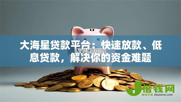 大海星贷款平台:快速放款、低息贷款,解决你的资金难题 大海星贷款平台:快速放款、低息贷款,解决你的资金难题