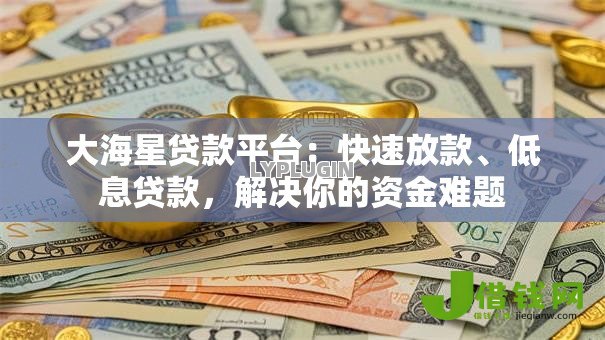 大海星贷款平台:快速放款、低息贷款,解决你的资金难题 大海星贷款平台:快速放款、低息贷款,解决你的资金难题