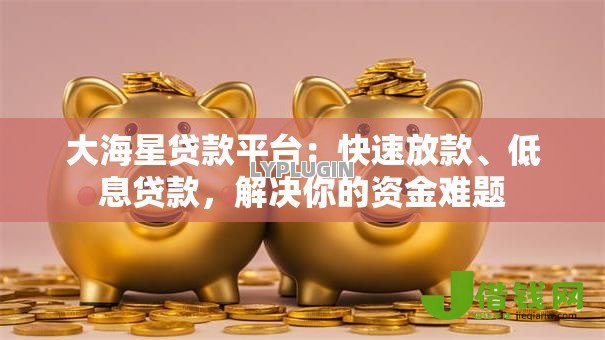 大海星贷款平台:快速放款、低息贷款,解决你的资金难题 大海星贷款平台:快速放款、低息贷款,解决你的资金难题