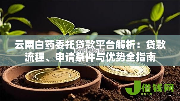 云南白药委托贷款平台解析:贷款流程、申请条件与优势全指南 云南白药委托贷款平台解析:贷款流程、申请条件与优势全指南