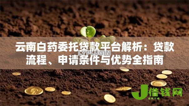 云南白药委托贷款平台解析:贷款流程、申请条件与优势全指南 云南白药委托贷款平台解析:贷款流程、申请条件与优势全指南