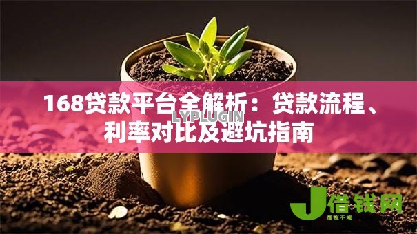 168贷款平台全解析：贷款流程、利率对比及避坑指南