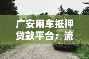 广安用车抵押贷款平台：流程、利率及避坑指南