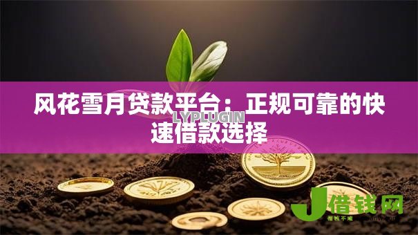 风花雪月贷款平台:正规可靠的快速借款选择 风花雪月贷款平台:正规可靠的快速借款选择