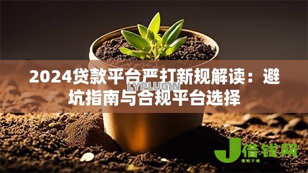 2024贷款平台严打新规解读:避坑指南与合规平台选择 2024贷款平台严打新规解读:避坑指南与合规平台选择