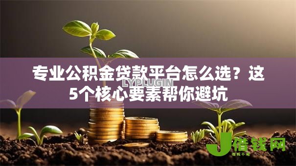 专业公积金贷款平台怎么选？这5个核心要素帮你避坑