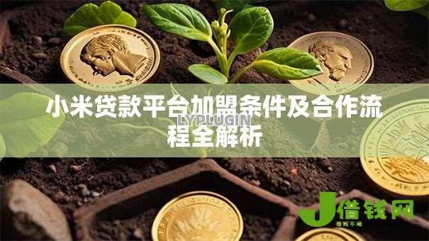 小米贷款平台加盟条件及合作流程全解析 小米贷款平台加盟条件及合作流程全解析