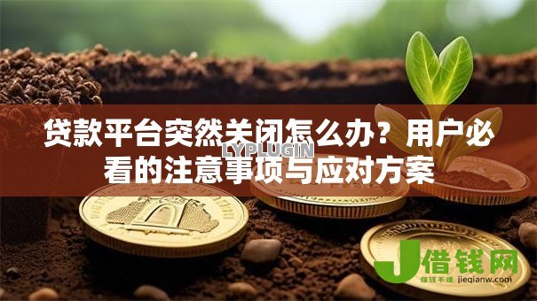 贷款平台突然关闭怎么办?用户必看的注意事项与应对方案 贷款平台突然关闭怎么办?用户必看的注意事项与应对方案