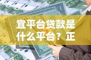 宜平台贷款是什么平台？正规贷款产品及申请条件解析