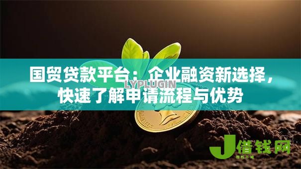 国贸贷款平台:企业融资新选择,快速了解申请流程与优势 国贸贷款平台:企业融资新选择,快速了解申请流程与优势